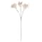 29" Baby's Breath Stem by Ashland®